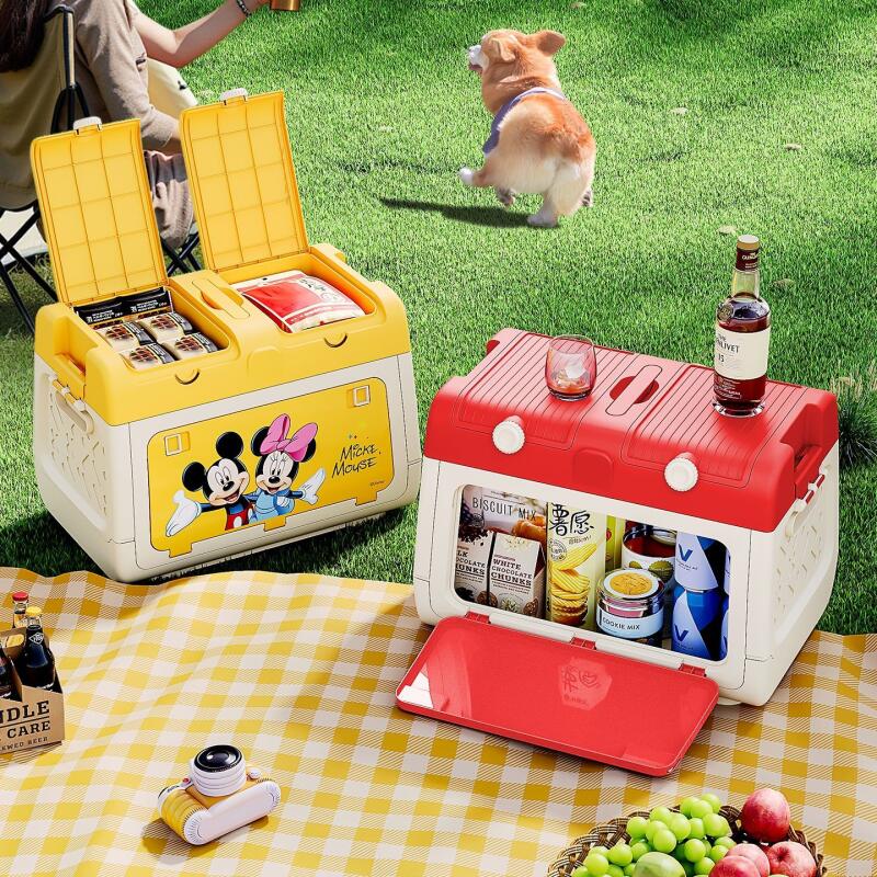 Disney Genuine Authorized Outd - Outdoor Camping Folding Storage Box 评论和价格