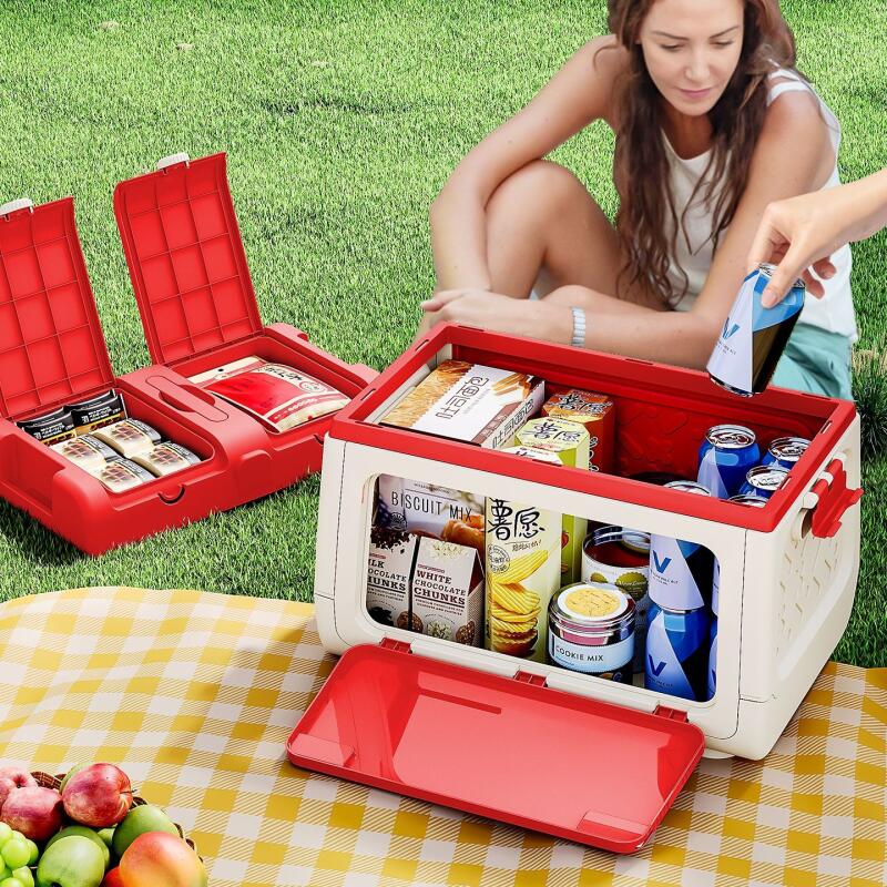 Disney Genuine Authorized Outd - Outdoor Camping Folding Storage Box 评论和价格